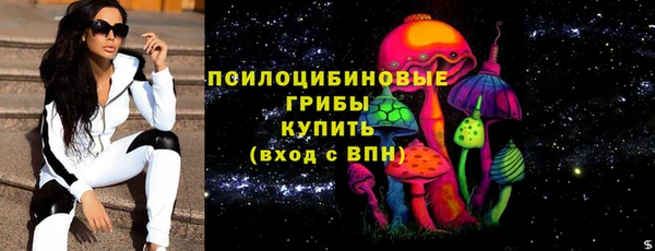 соль ск Дубна