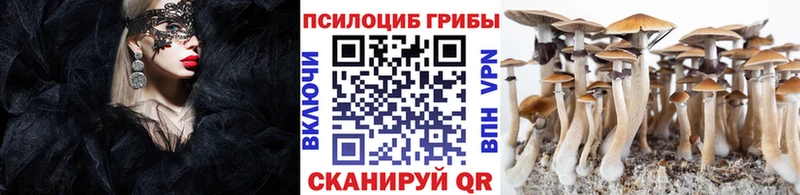 Галлюциногенные грибы мухоморы  Алексеевка 