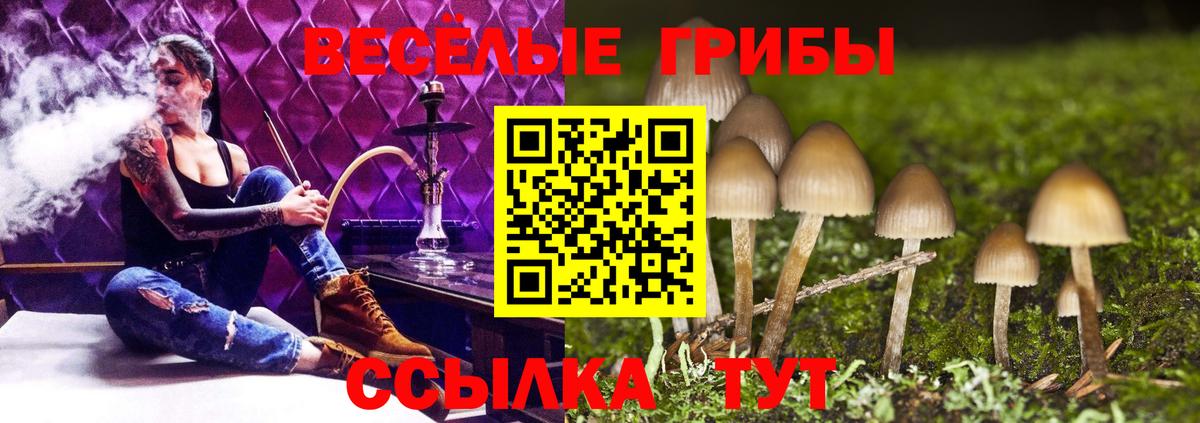 Псилоцибиновые грибы MAGIC MUSHROOMS Алексеевка