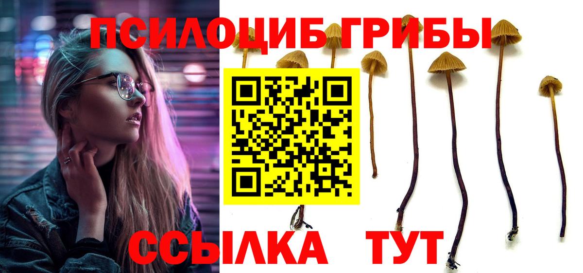 дарнет шоп  Псилоцибиновые грибы ЛСД  Псилоцибиновые грибы Magic Shrooms  Вход с VPN  Алексеевка 